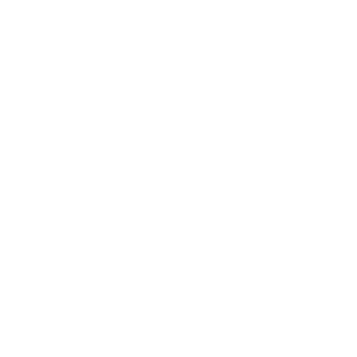 Reyko Motors